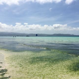 《大海不停地运送浪花》作者田湘