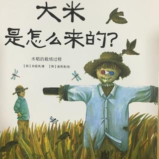 《大米是怎么来的》-月亮姐姐