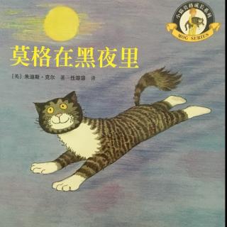 74.莫格在黑夜里