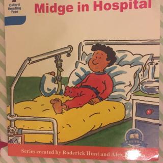 牛津阅读树3-25-Midge in hospital