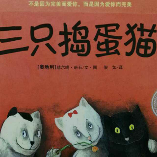 《三只捣蛋猫》绘本故事