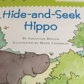 Hide-and-Seek Hippo