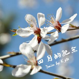 7min诗四月的纪念