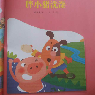 胖小猪🐷洗澡