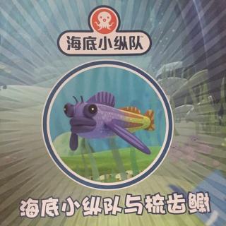 海底小纵队和沙丁鱼群