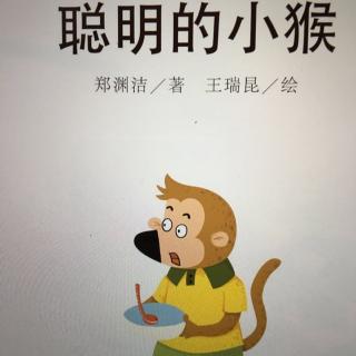 聪明的小猴🐒