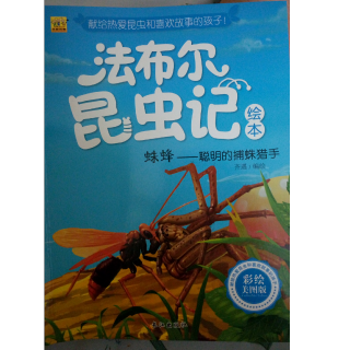 法布尔昆虫记～～～珠峰+大孔雀蛾