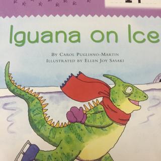Iguana on Ice