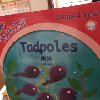 Tadpoles 单词拼读
