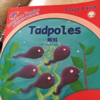 Tadpoles 