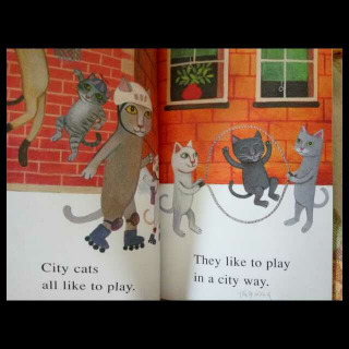 city cats,country cats2