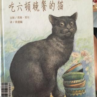 吃六顿晚餐的猫