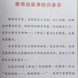 文丑丑@麻麻讲故事：《被命运捉弄的贝多芬》