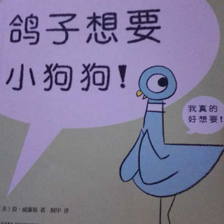 鸽子想要小狗狗