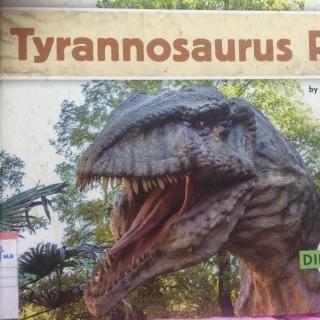 Tyrannosaurus Rex （霸王龙）