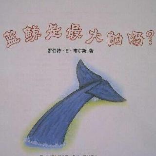 【绘本故事】《蓝鲸是最大的吗？》（国语版）