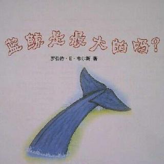 【绘本故事】《蓝鲸是最大的吗？》（粤语版）