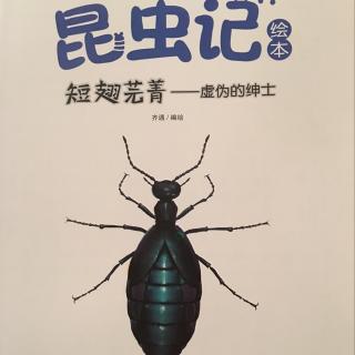 法布尔昆虫记短翅芫菁