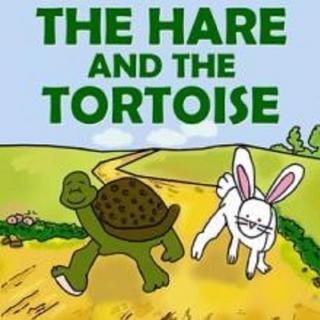 【故事32/中级】The hare and the tortoise I (小何老师）