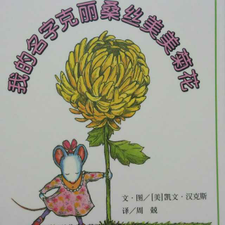 我的名字克丽桑丝美美菊花