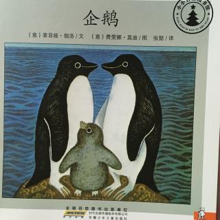 企鹅🐧（小小自然图书馆）