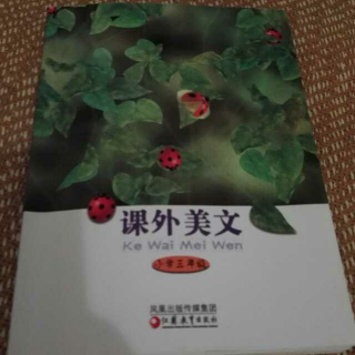 课外美文三年级～鲜藕姐妹