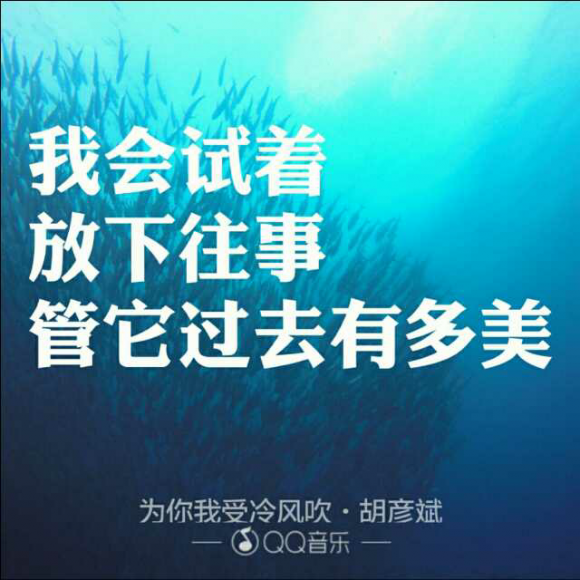 【我决定不再喜欢你】在线收听_放下～刹那花开_荔枝fm