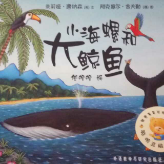 小海螺和大鲸鱼