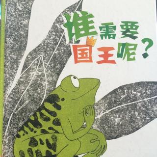 《谁需要国王呢？》木子老师