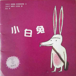 小白兔 非非3