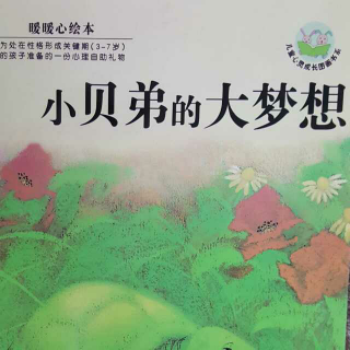 哈尔滨百艺童画~《小贝地的大梦想》