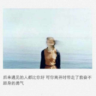 动物情书