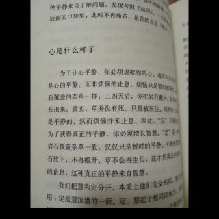 《这个世界的真相》心是什么样子