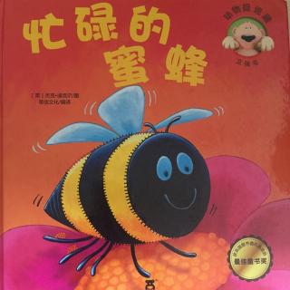 【绘本故事】英国🇬🇧忙碌的蜜蜂-科普知识