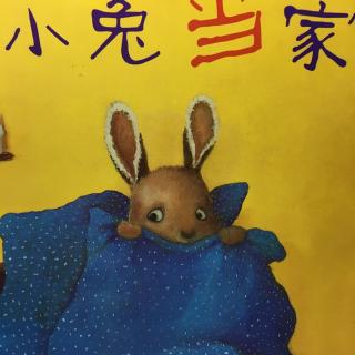 绘本28:小兔当家