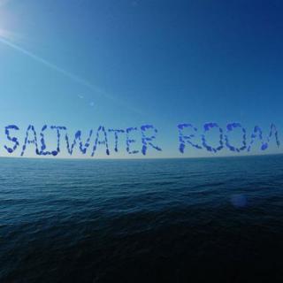 【跟Sean学唱英语歌】The Saltwater Room 
