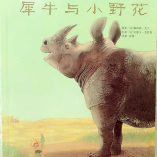节目413 多多妈妈读绘本《犀牛与小野花🌸》---美好相遇让彼此成长
