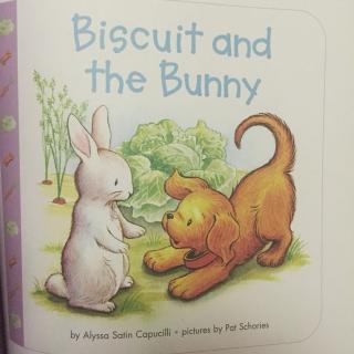 Biscuit and the bunny