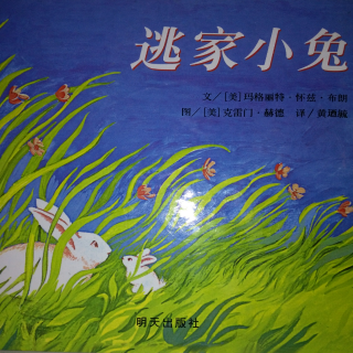 我们读绘本 《逃家小兔》 中文绘本