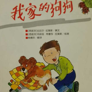 我家的狗狗