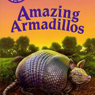 兰登Step into Reading3阶 - Amazing Armadillos 