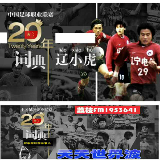 中国足球职业联赛词典20年【辽小虎】