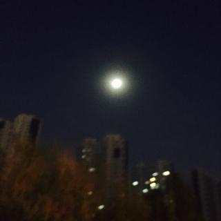 [薇读散文]月是故乡明——季羡林
