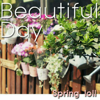 Beautiful Day-Springloll