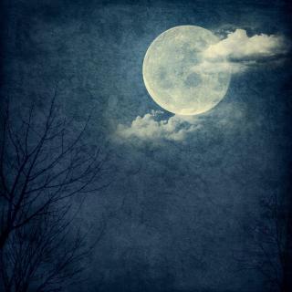 月亮的样子-中秋节小故事