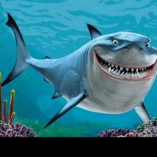 鲨鱼笑笑