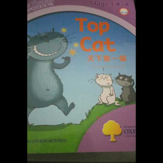 top  cat