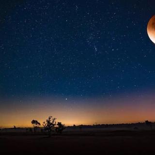 「水调歌头丙辰中秋」苏轼(宋)|诗兮 · 第58期