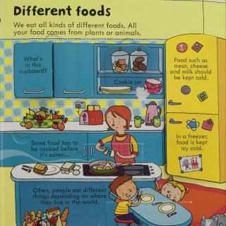 Look Inside Food 1