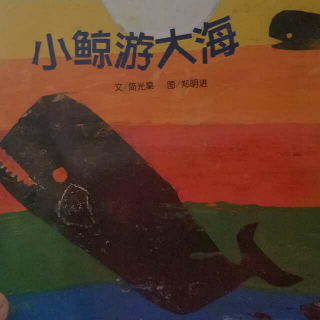 小鲸鱼游大海